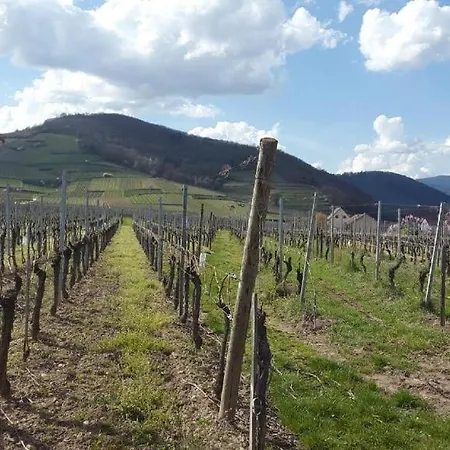 Le Merle 90m2 Pres De La Route Des Vins Holiday home *