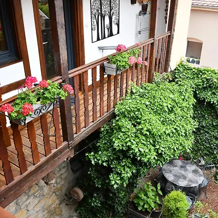 Le Merle 90m2 Pres De La Route Des Vins 別荘