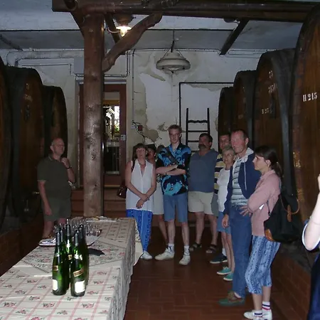 Le Merle 90m2 Pres De La Route Des Vins